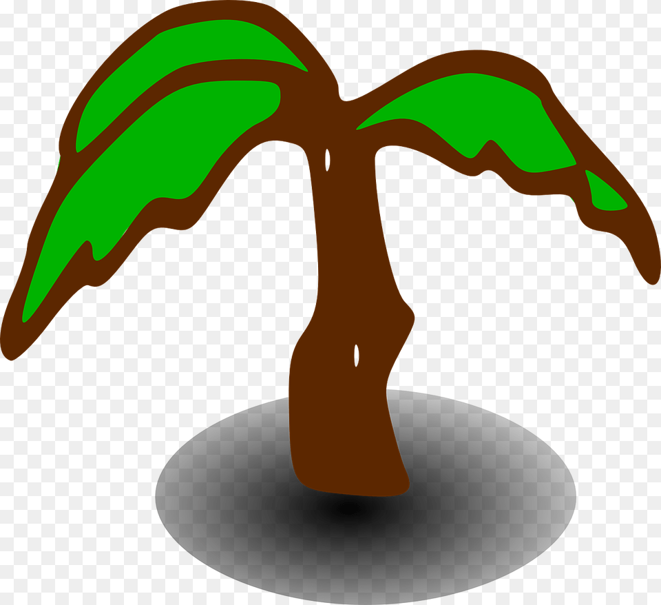 Palm Tree Clip Art, Baby, Person, Emblem, Symbol Png