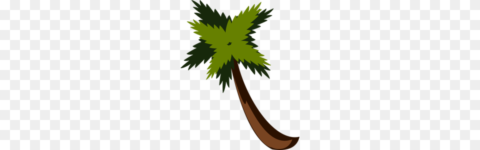 Palm Tree Clip Art, Leaf, Plant, Herbs, Herbal Png