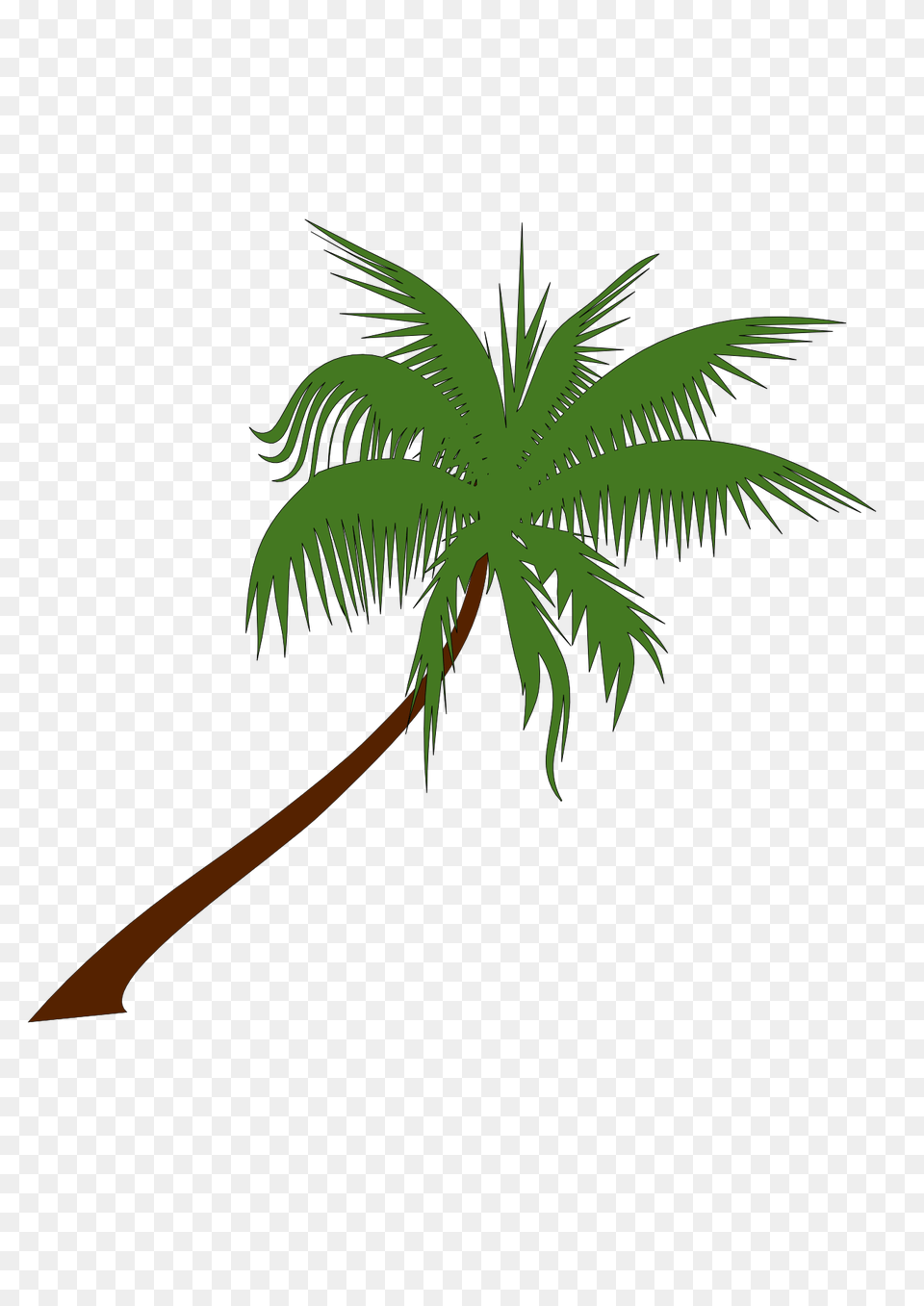 Palm Tree Clip Art, Palm Tree, Plant, Leaf Free Transparent Png