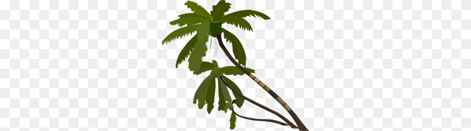 Palm Tree Clip Art, Green, Leaf, Plant, Vegetation Free Png