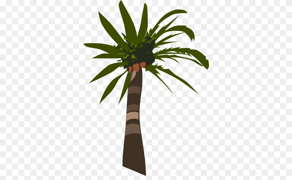 Palm Tree Clip Art, Palm Tree, Plant Free Transparent Png