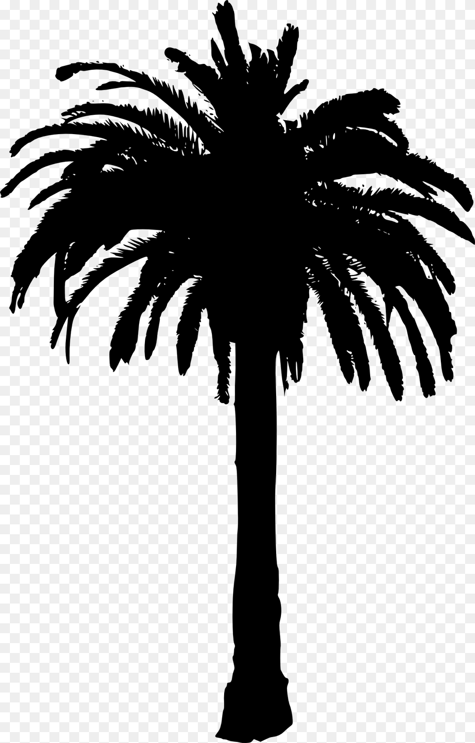 Palm Tree Clip Art, Palm Tree, Plant, Silhouette, Person Png Image