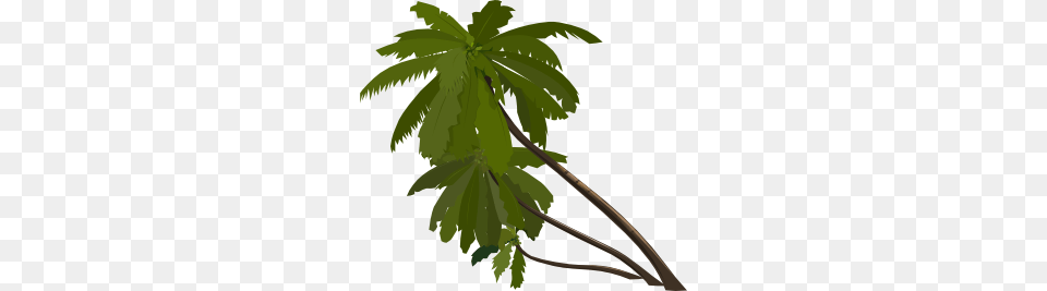 Palm Tree Clip Art, Leaf, Palm Tree, Plant, Vegetation Png