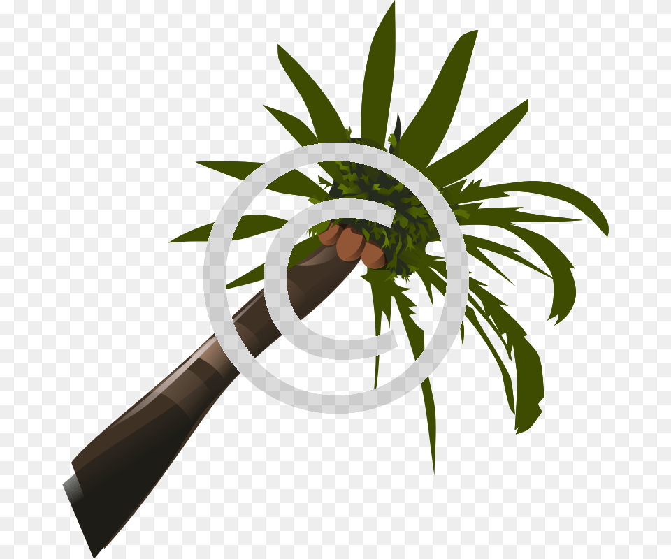 Palm Tree Clip Art, Leaf, Palm Tree, Plant, Potted Plant Free Png Download