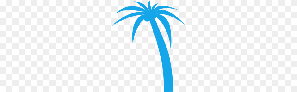 Palm Tree Clip Art, Palm Tree, Plant, Animal, Bird Free Png