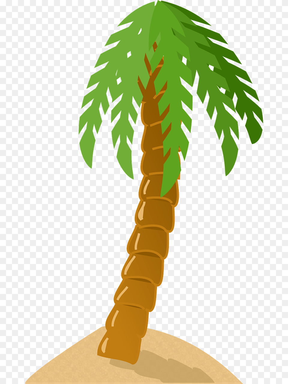 Palm Tree Clip Art, Palm Tree, Plant, Person Free Transparent Png