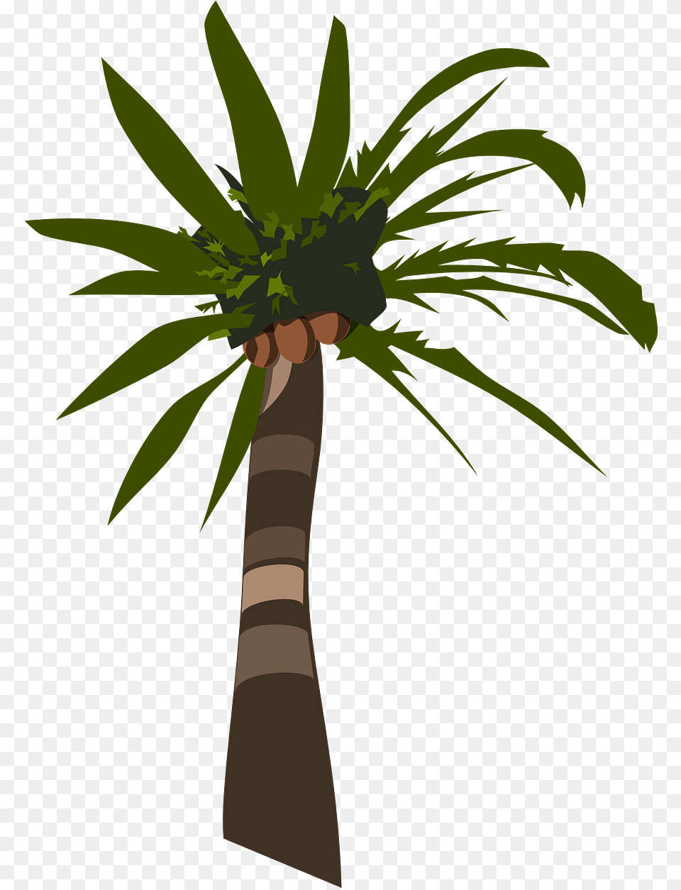 Palm Tree Clip Art, Palm Tree, Plant Free Png Download