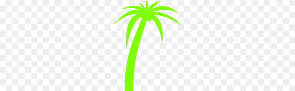 Palm Tree Clip Art, Palm Tree, Plant Free Png