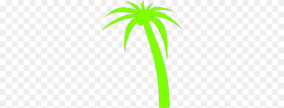 Palm Tree Clip Art, Palm Tree, Plant, Leaf, Green Free Png