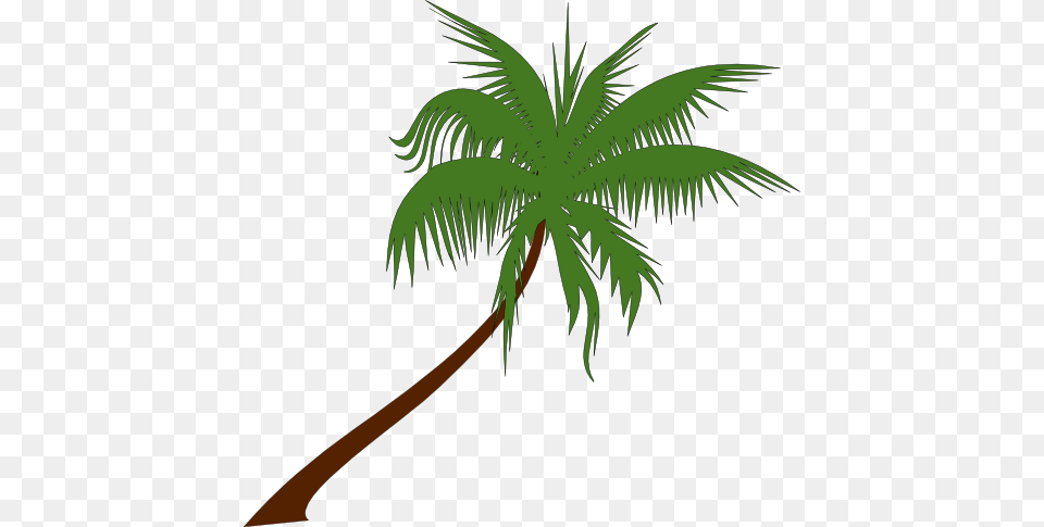 Palm Tree Clip Art, Palm Tree, Plant, Leaf Png