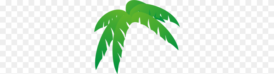 Palm Tree Clip Art, Green, Leaf, Plant, Vegetation Png