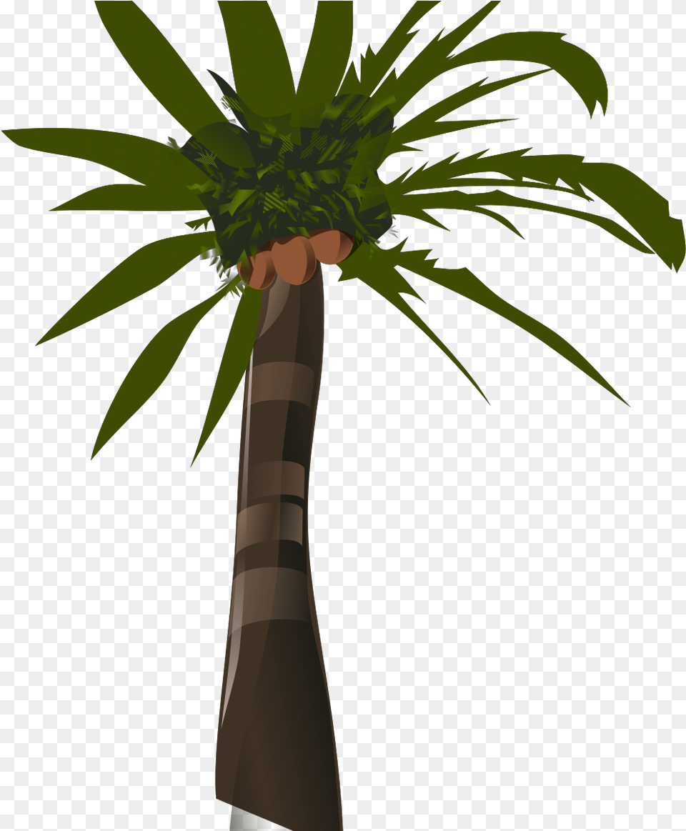 Palm Tree Clip Art, Food, Fruit, Palm Tree, Plant Free Png Download