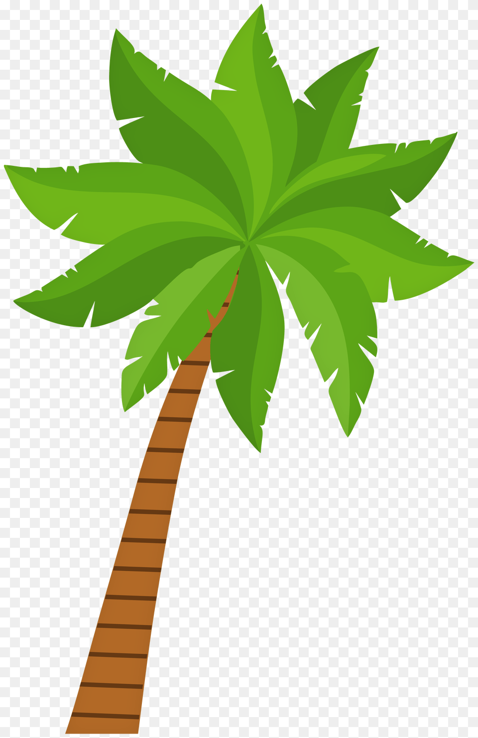 Palm Tree Clip Art, Green, Plant, Vegetation, Leaf Free Transparent Png