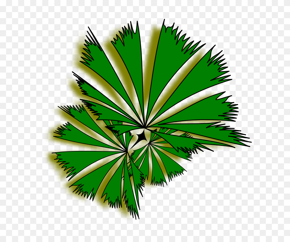 Palm Tree Clip Art, Plant, Leaf, Green, Graphics Free Transparent Png