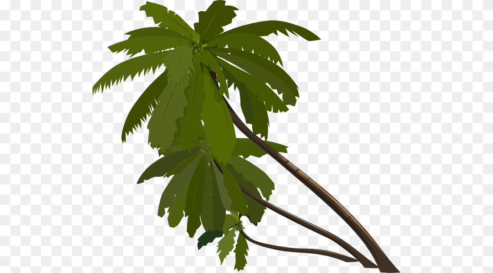 Palm Tree Clip Art For Web, Leaf, Plant, Palm Tree, Vegetation Free Png Download