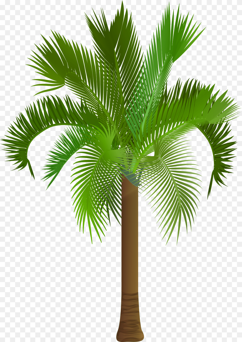 Palm Tree Clip Art Image Is Available For Palm Tree Royalty Free Png