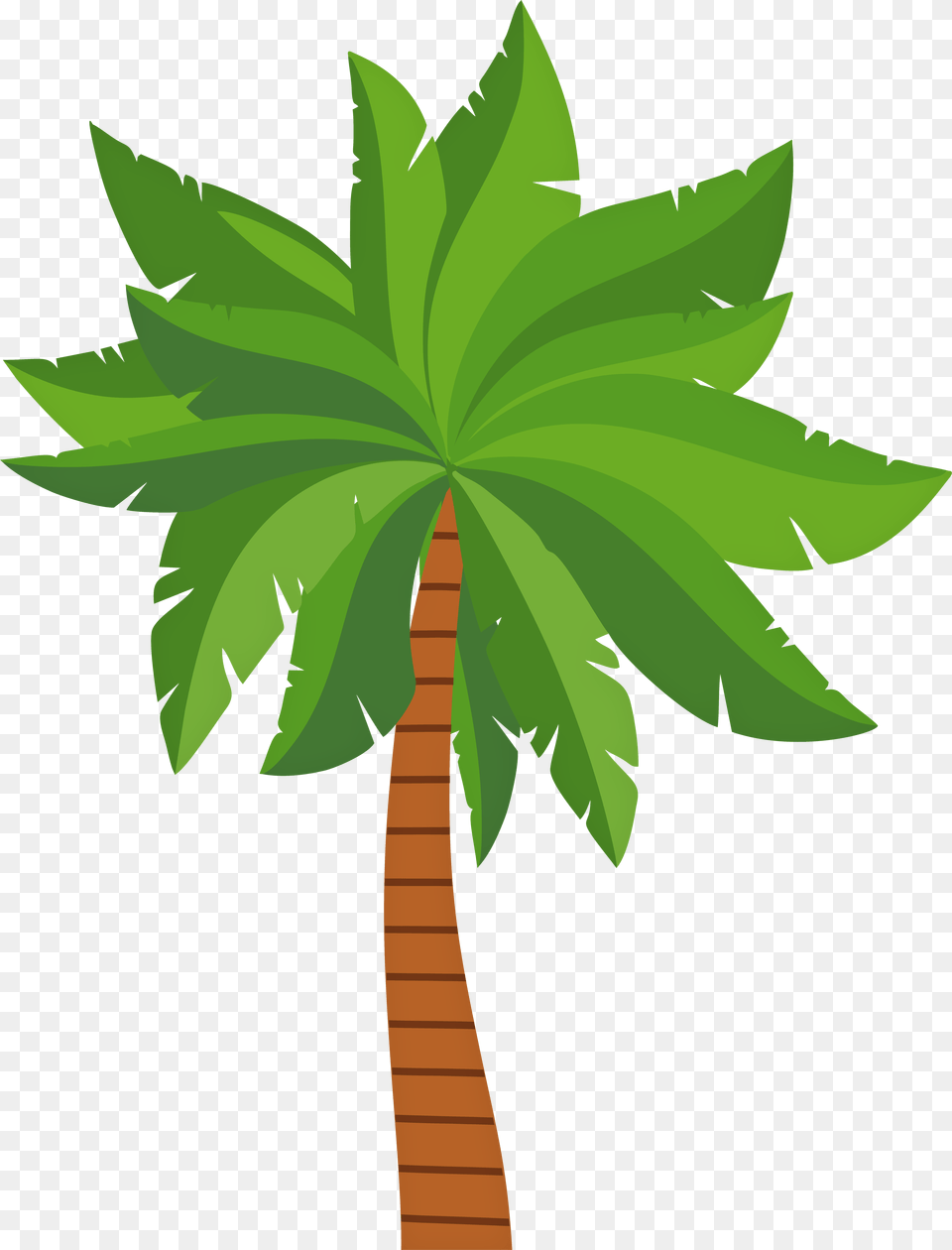 Palm Tree Clip Art Image Trees Clipart, Leaf, Palm Tree, Plant, Vegetation Free Png
