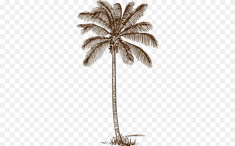 Palm Tree Clip Art Line Drawing Of Palm Tree, Palm Tree, Plant, Cross, Symbol Free Transparent Png