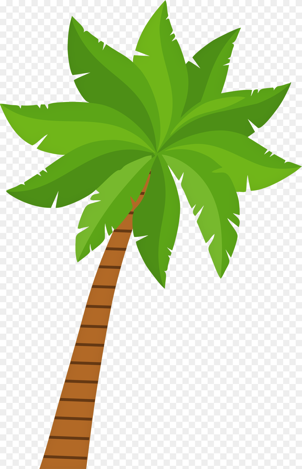 Palm Tree Clip Art Palm Tree Clipart, Leaf, Palm Tree, Plant Png Image