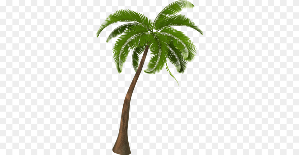 Palm Tree Clip Art Palm Tree Palm Sunday Women Beach Sun Shade Wide Hat Upf 50 Outdoor Summer, Leaf, Palm Tree, Plant Png Image