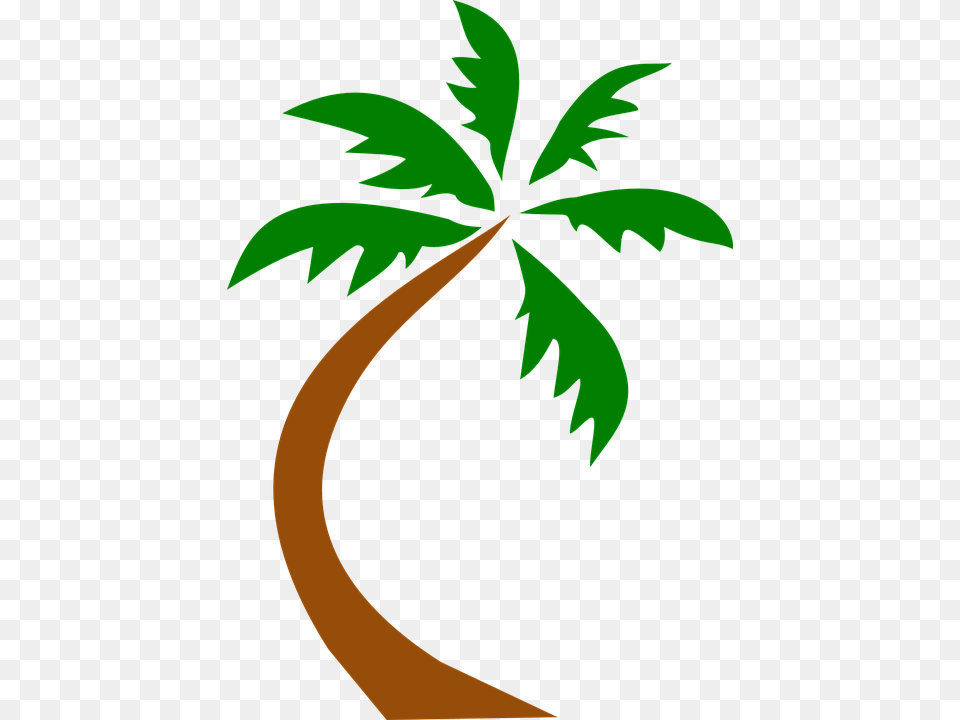 Palm Tree Clip Art Transparent Background Palm Tree Clip Art, Leaf, Palm Tree, Plant, Vegetation Free Png