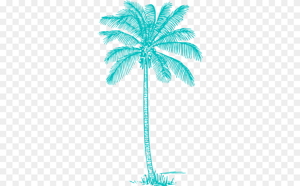 Palm Tree Clip Art Transparent Coconut Tree Outline, Palm Tree, Plant, Vegetation, Animal Free Png