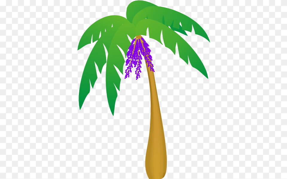 Palm Tree Clip Art Vector Clip Art Online Palm Tree Leaves Vector, Vegetation, Flower, Leaf, Plant Free Transparent Png