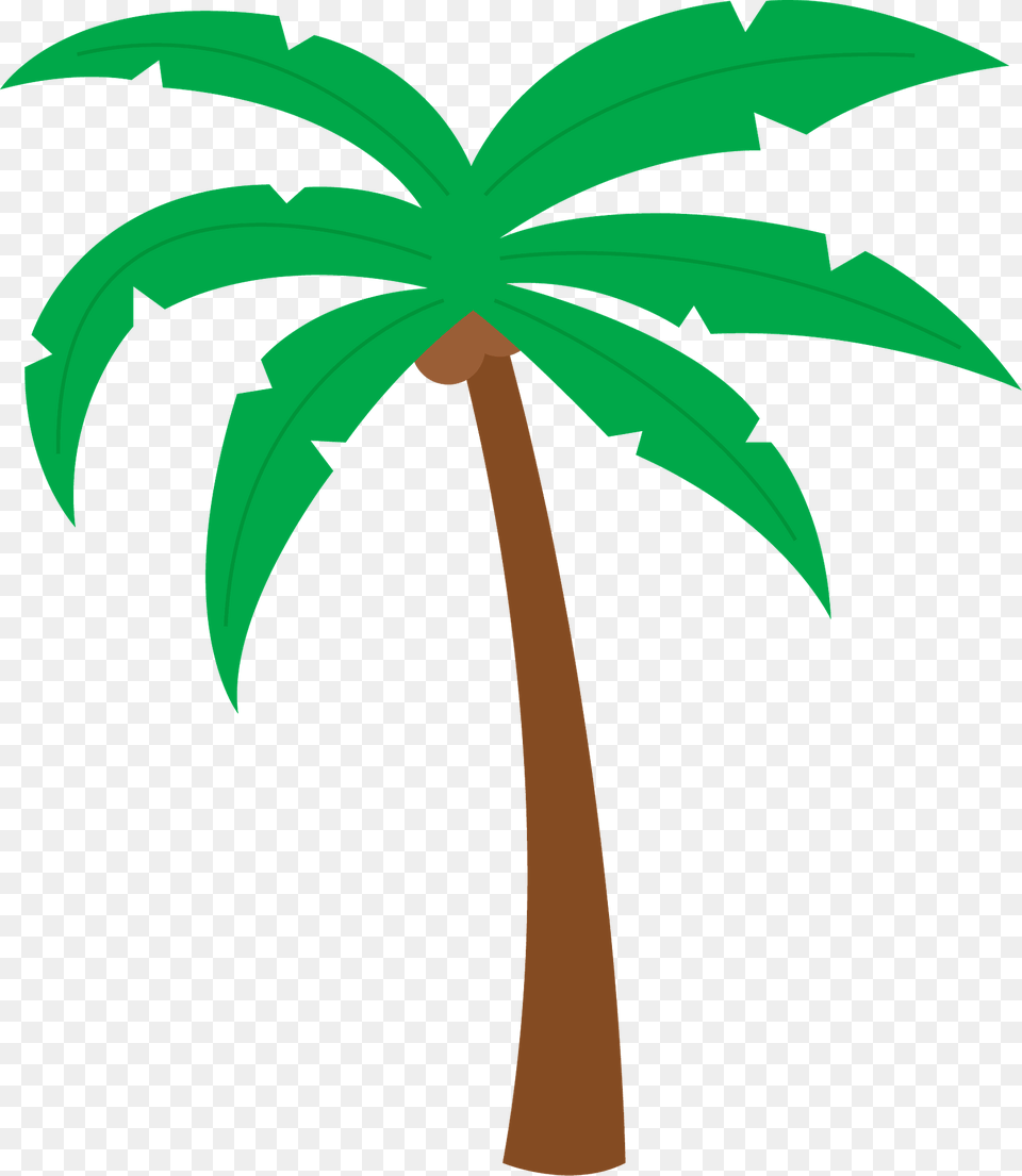 Palm Tree Clipart, Palm Tree, Plant, Vegetation Png