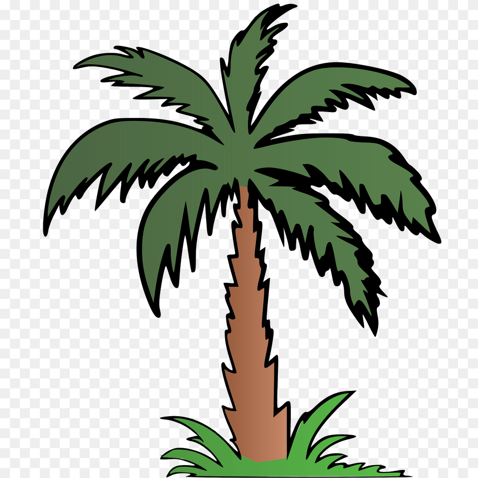 Palm Tree Clipart, Palm Tree, Plant, Vegetation Free Png Download