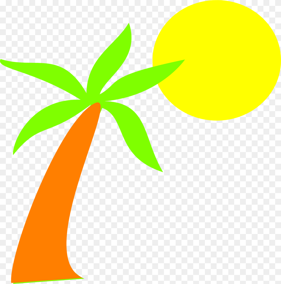Palm Tree Clipart, Art, Graphics, Floral Design, Pattern Free Png Download