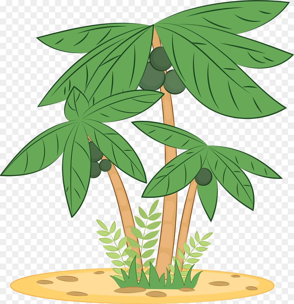 Palm Tree Clipart, Vegetation, Plant, Leaf, Outdoors Free Png Download