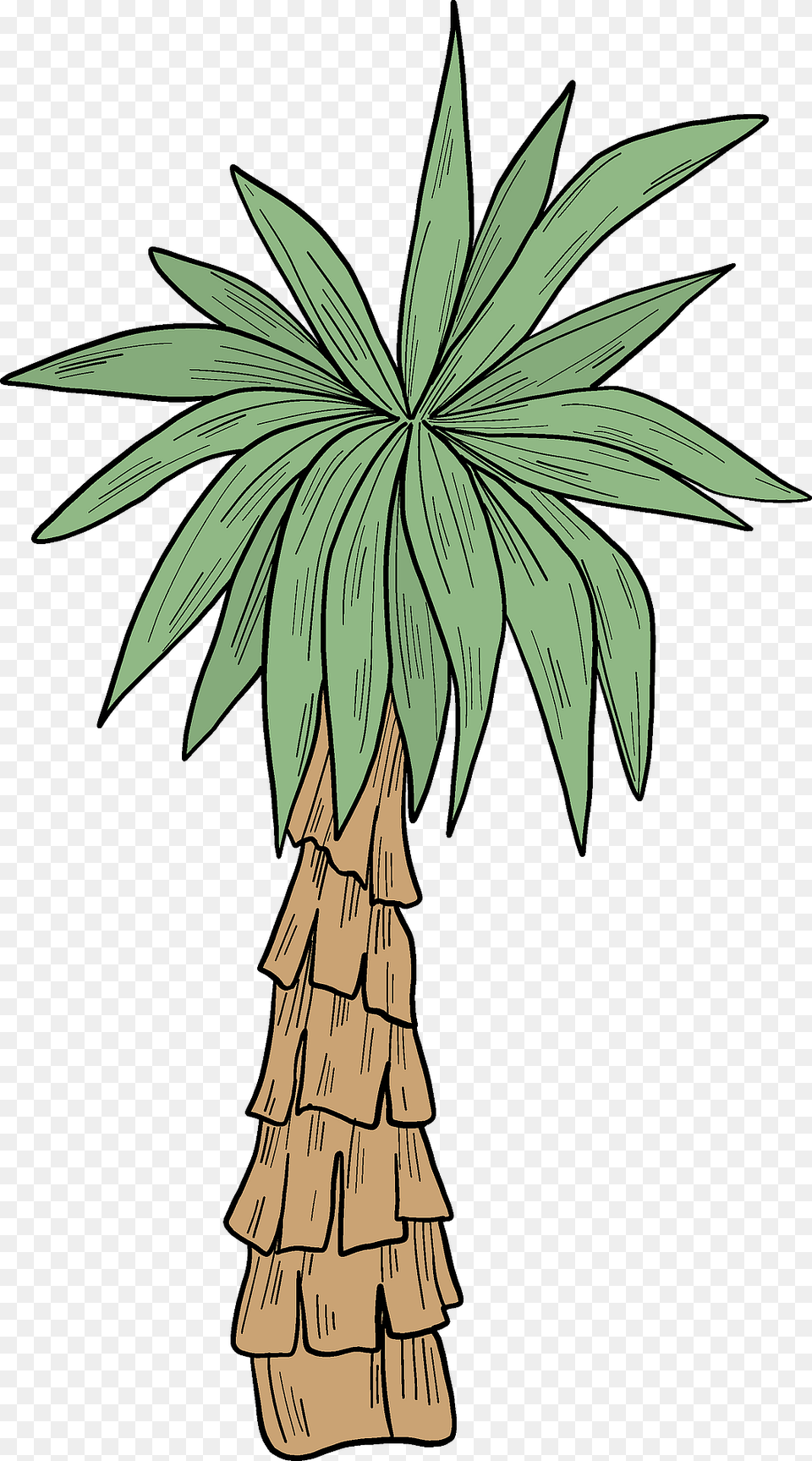 Palm Tree Clipart, Palm Tree, Plant, Animal, Bird Free Png Download