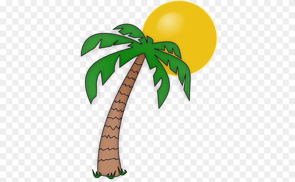 Palm Tree Clipart, Palm Tree, Plant, Food, Fruit Png Image