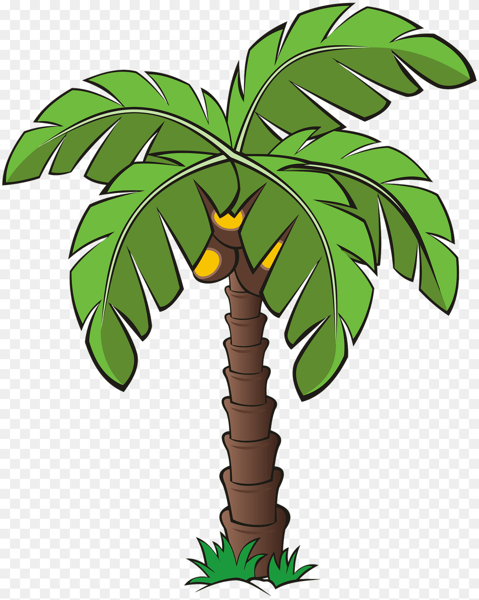 Palm Tree Clipart, Palm Tree, Plant, Vegetation, Dynamite Free Transparent Png