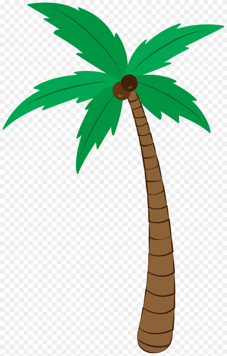 Palm Tree Clipart, Palm Tree, Plant Png Image