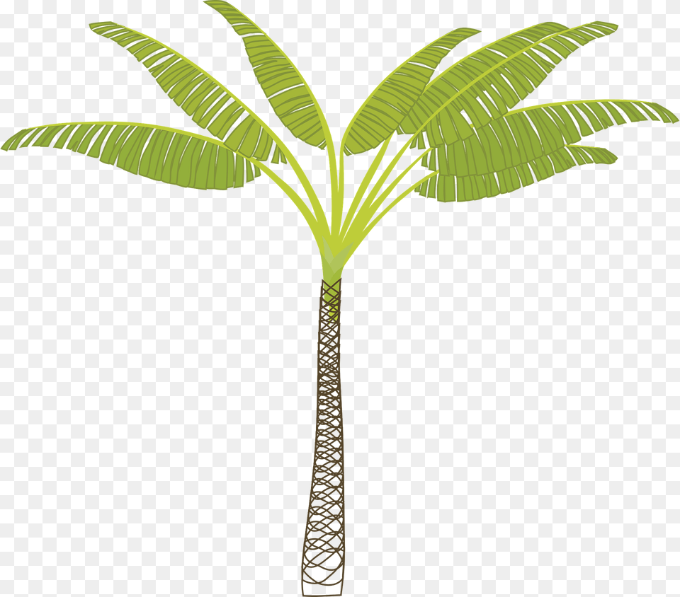 Palm Tree Clipart, Palm Tree, Plant, Vegetation, Leaf Free Png Download