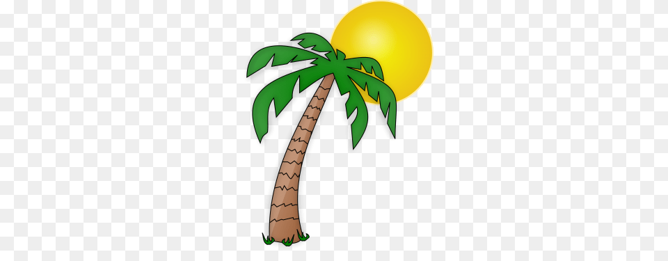 Palm Tree Clipart, Palm Tree, Plant, Food, Fruit Png