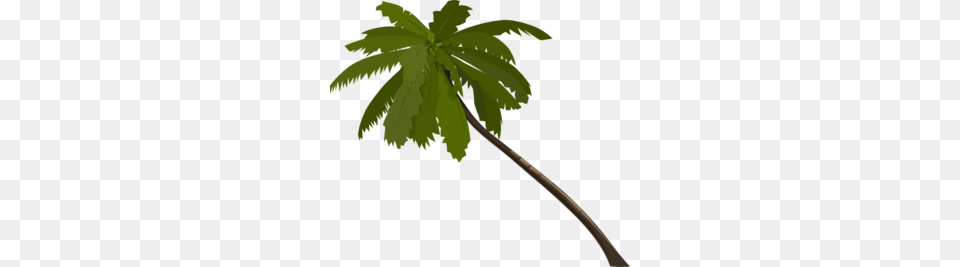 Palm Tree Clipart, Leaf, Palm Tree, Plant, Green Free Png