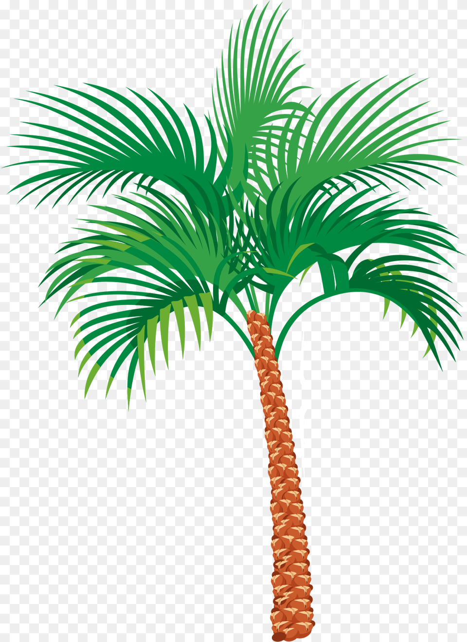 Palm Tree Clipart 32 Image Download Vector Palm Tree Pic Vector, Palm Tree, Plant Free Transparent Png