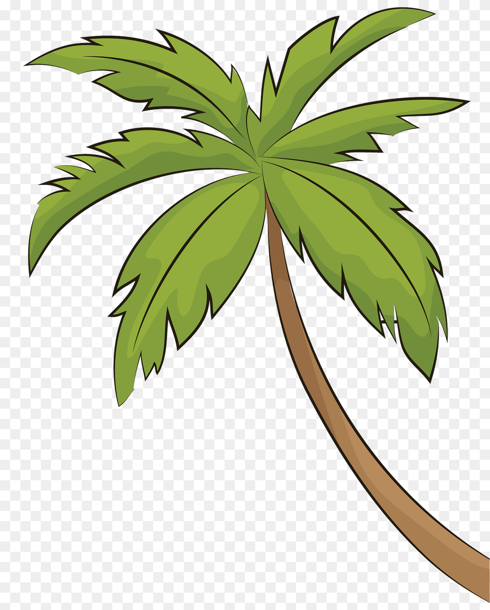 Palm Tree Clipart, Leaf, Palm Tree, Plant, Vegetation Free Png
