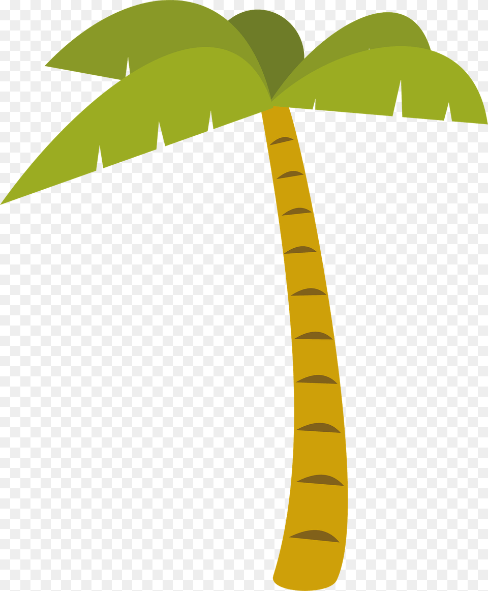 Palm Tree Clipart, Palm Tree, Plant Free Png