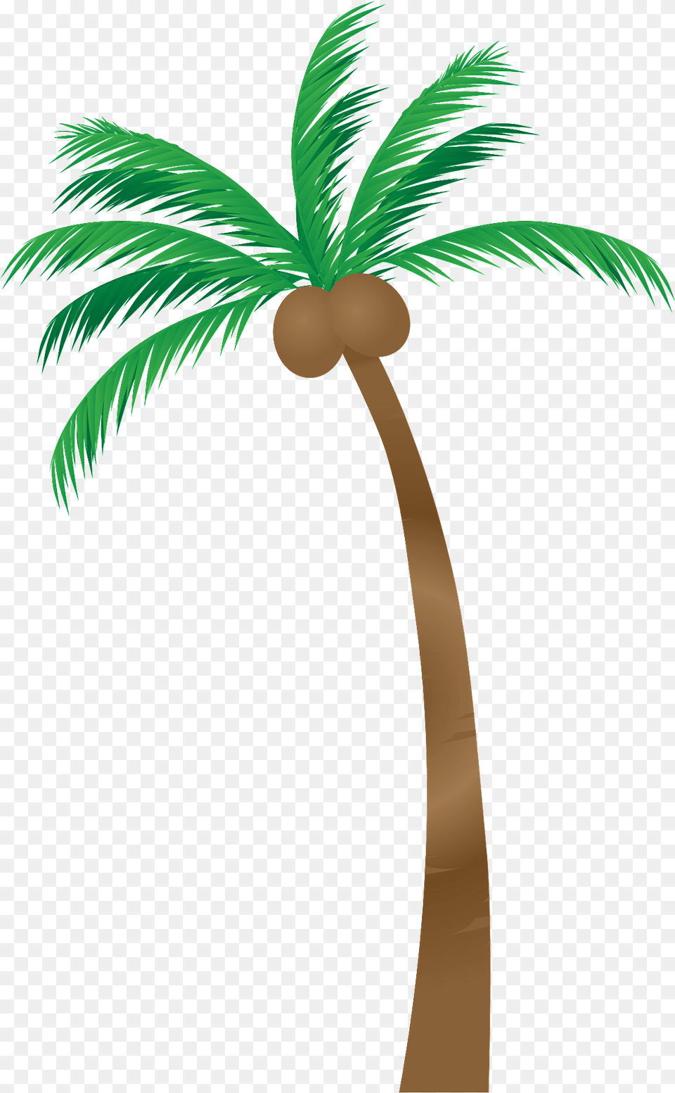 Palm Tree Clipart, Palm Tree, Plant Free Transparent Png