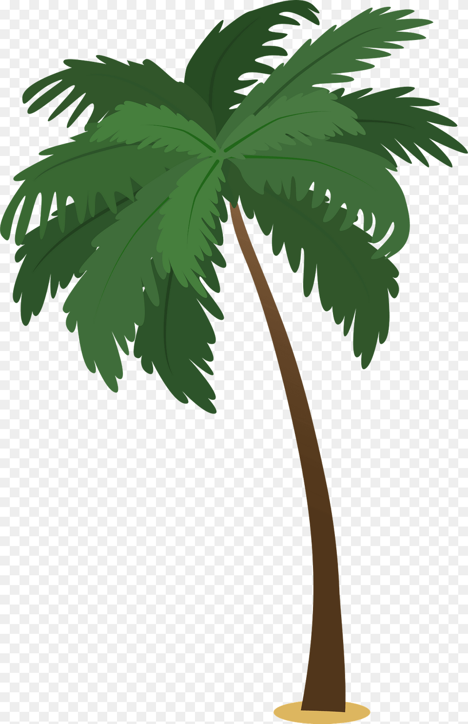 Palm Tree Clipart, Palm Tree, Plant Png Image