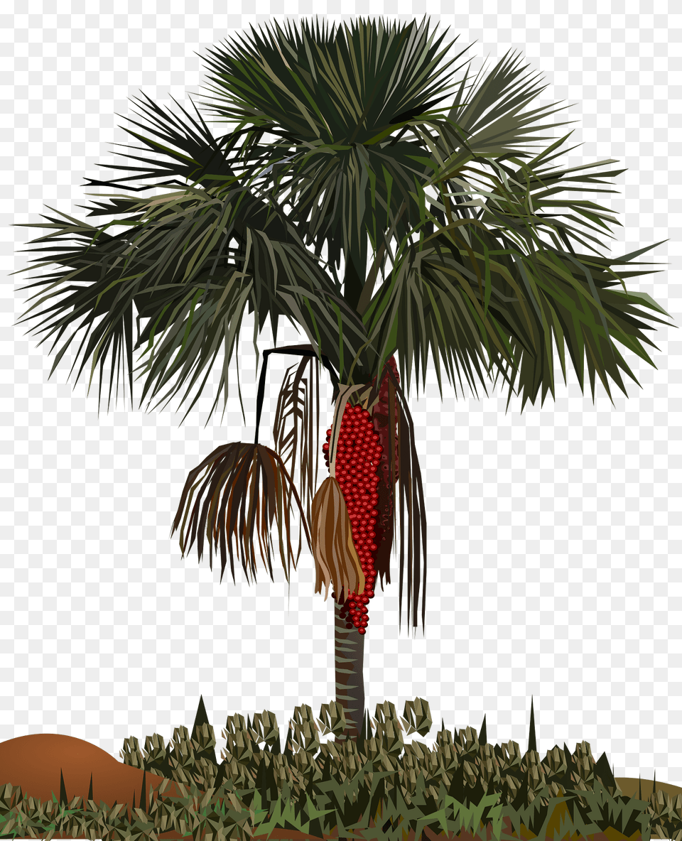 Palm Tree Clipart, Palm Tree, Plant, Vegetation, Jungle Free Png Download
