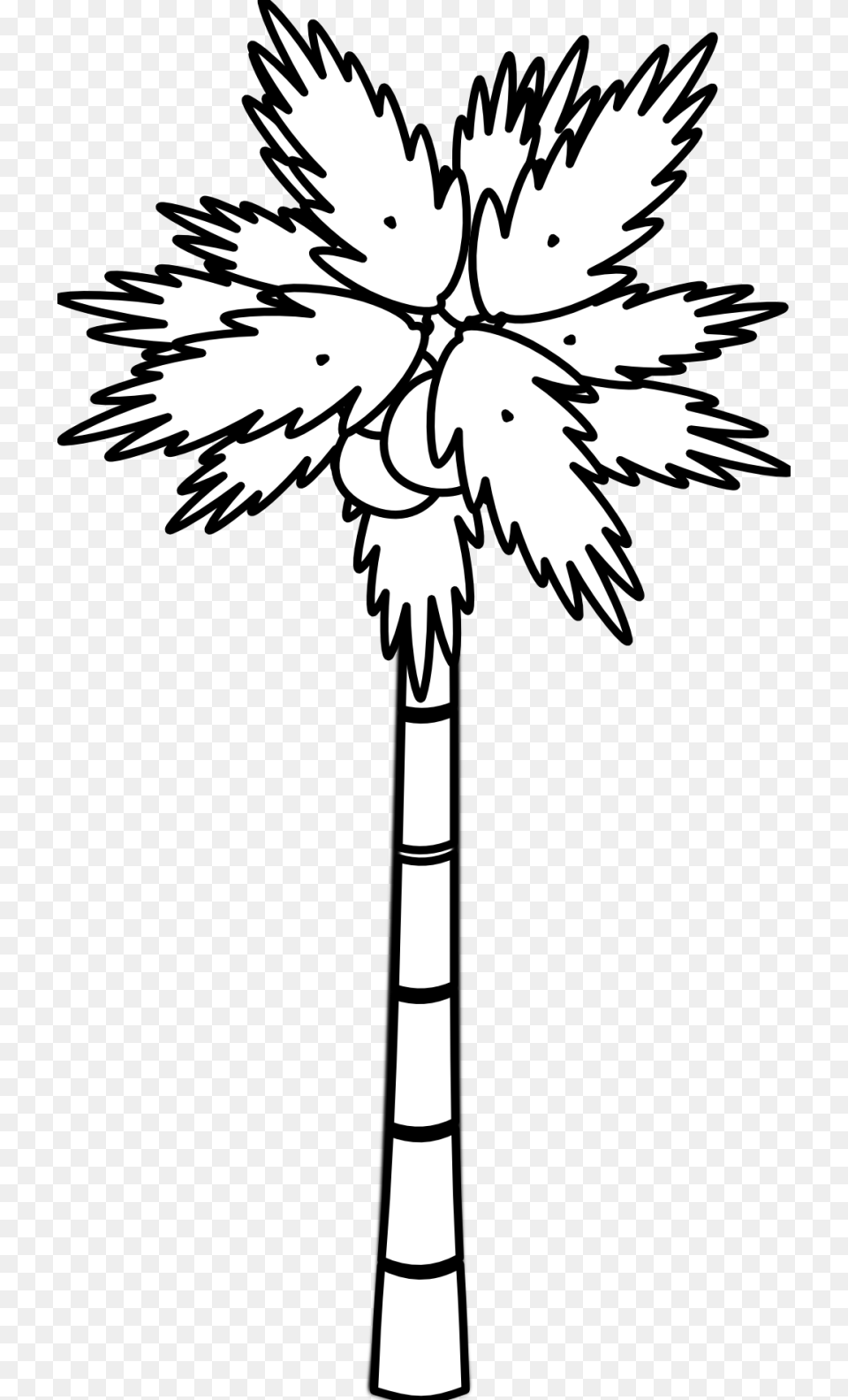 Palm Tree Clipart Black And White Clipart Black Amp White Tree, Palm Tree, Plant, Stencil, Person Free Png