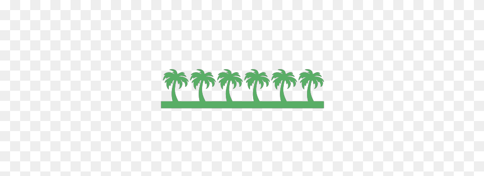 Palm Tree Clipart Borders, Green, Palm Tree, Plant, Vegetation Free Transparent Png