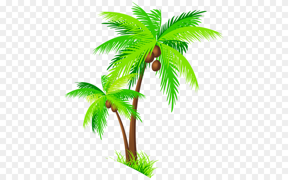 Palm Tree Clipart Coco, Vegetation, Plant, Palm Tree, Rainforest Free Png Download