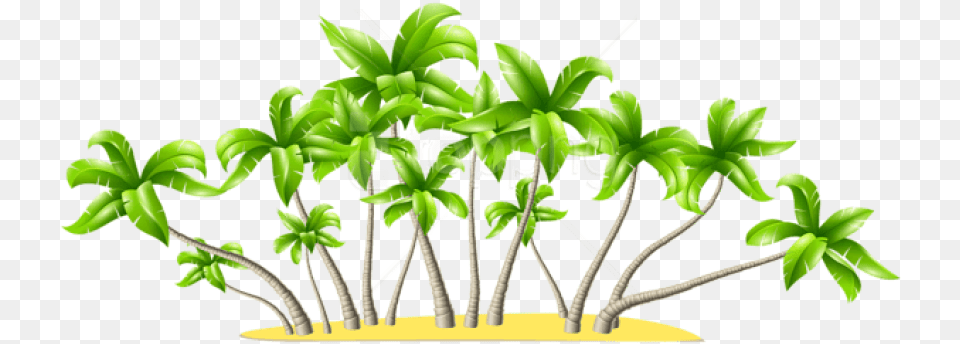 Palm Tree Clipart Coconut Trees Transparent Coconut Tree Hd, Plant, Moss, Potted Plant, Leaf Free Png