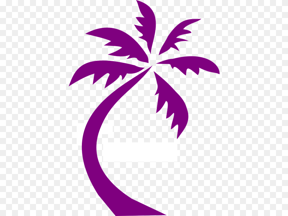 Palm Tree Clipart Detailed, Purple, Plant, Leaf, Vegetation Png Image
