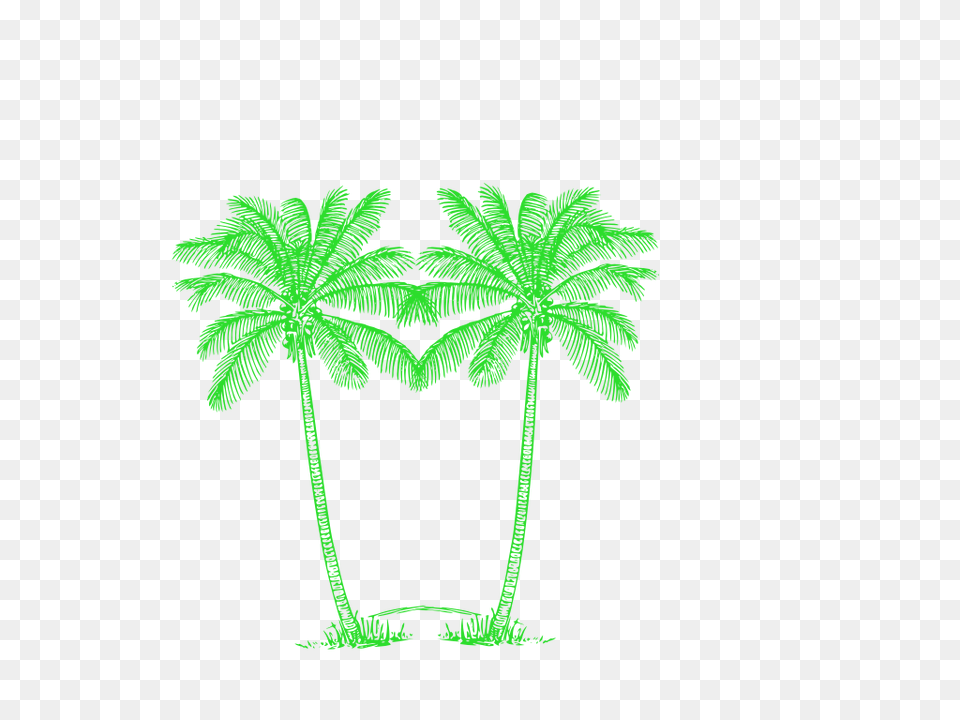 Palm Tree Clipart Double Green Palm Tree Transparent, Plant, Palm Tree, Leaf, Vegetation Png